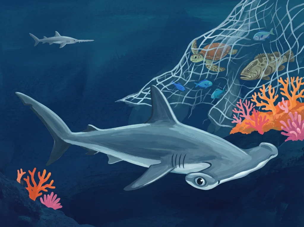 Hanil the Hammerhead Shark